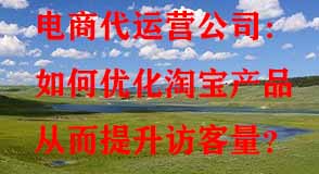如何優(yōu)化淘寶產品從而提升訪客量